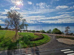 Le Bellevue 2 Thonon-Les-Bains